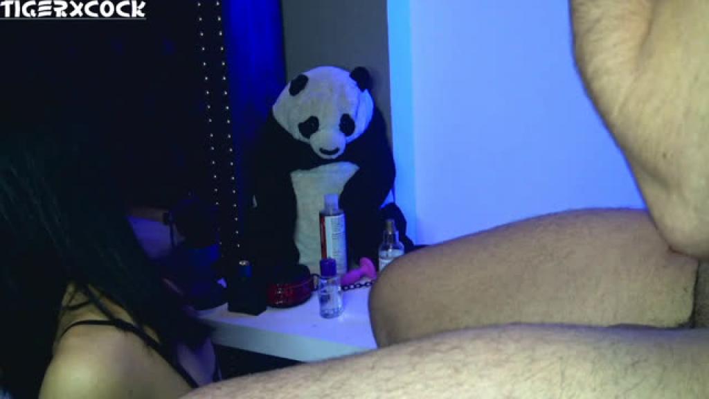 tigerxcock [2019-12-03 02:36:09]