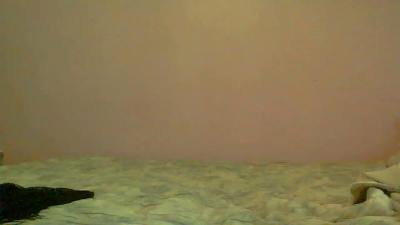 blackdoll [2017-12-18 06:00:38]