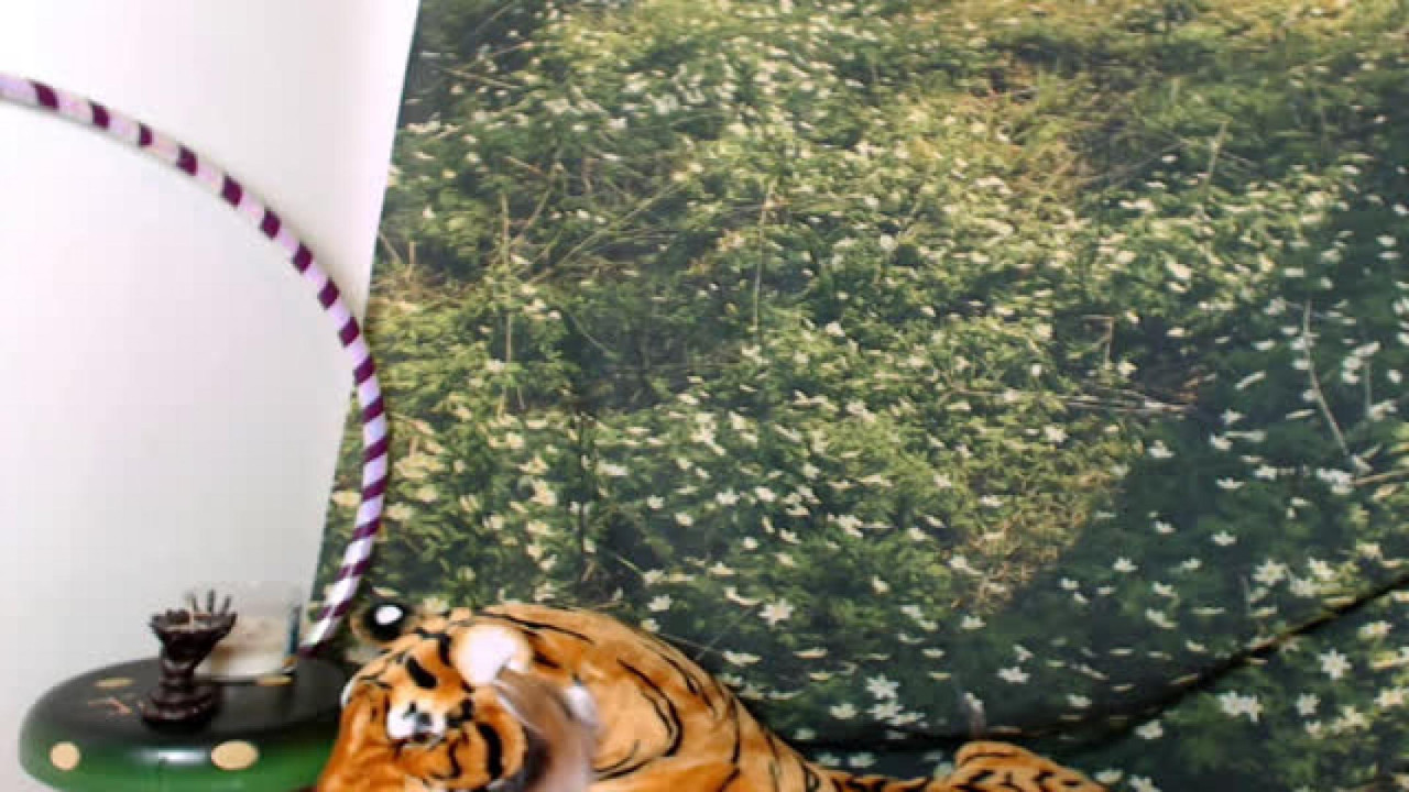 Lilacviper MyFreeCams [2017-10-02 08:51:12]