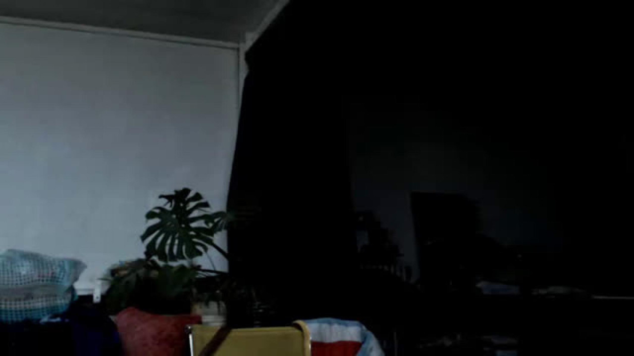 braindeadmarcella_