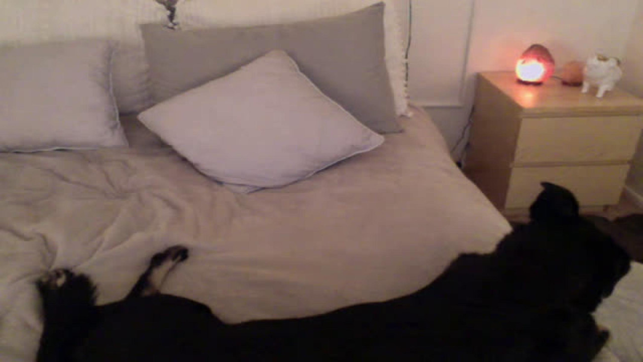 MistressxRhii MyFreeCams [2017-11-12 09:51:03]