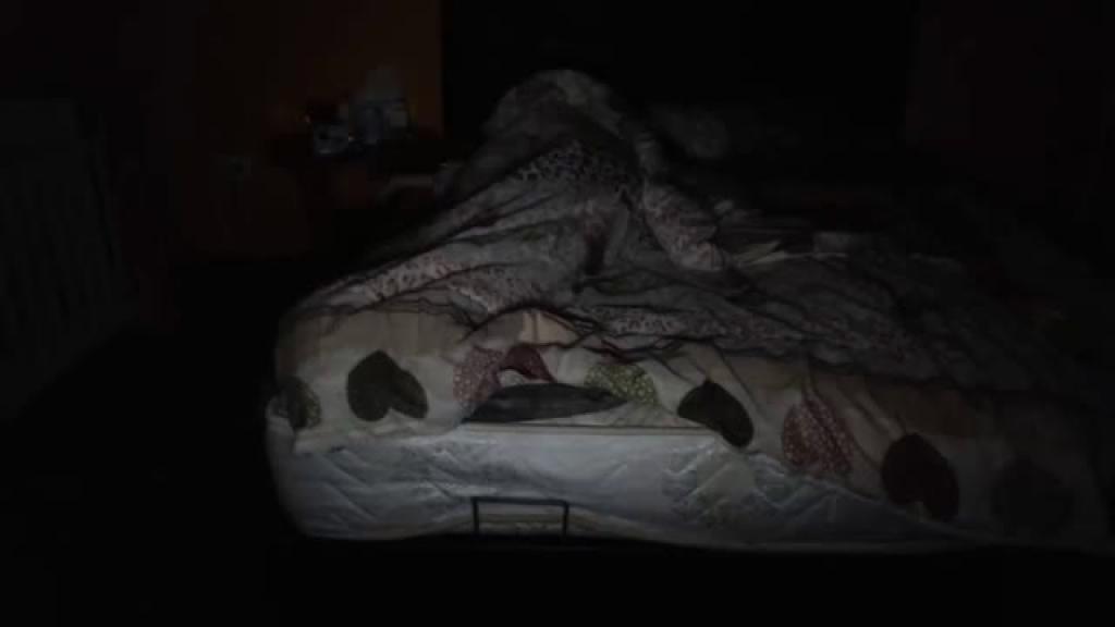 afido [2019-12-01 23:31:30]