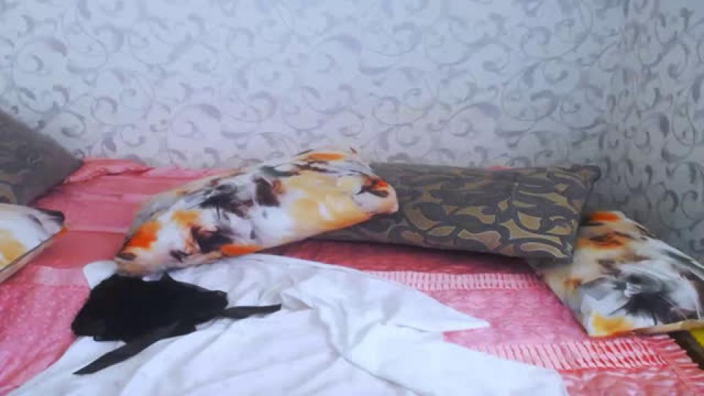 horny_black_rabbit [2019-09-29 10:02:13]