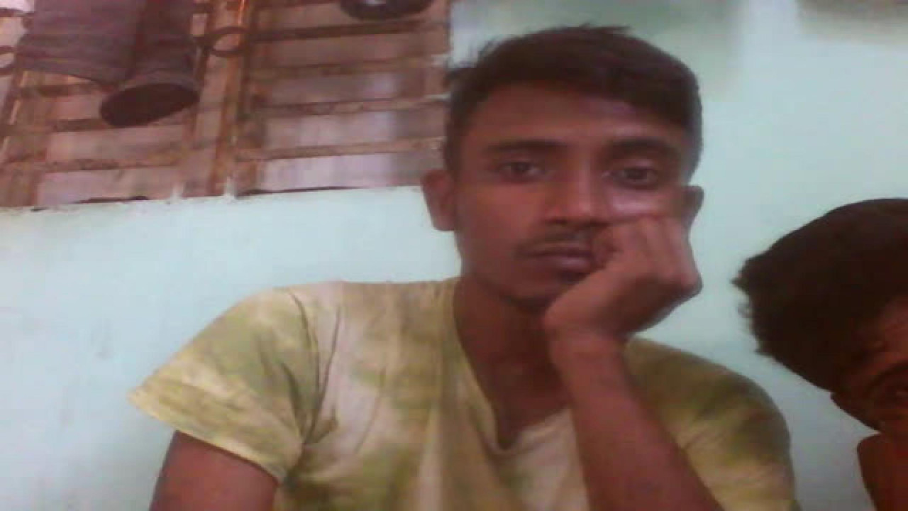 lanaroy54355