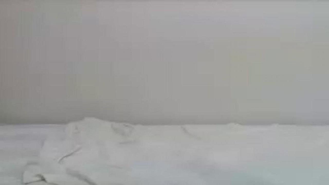 shysexyjess78
