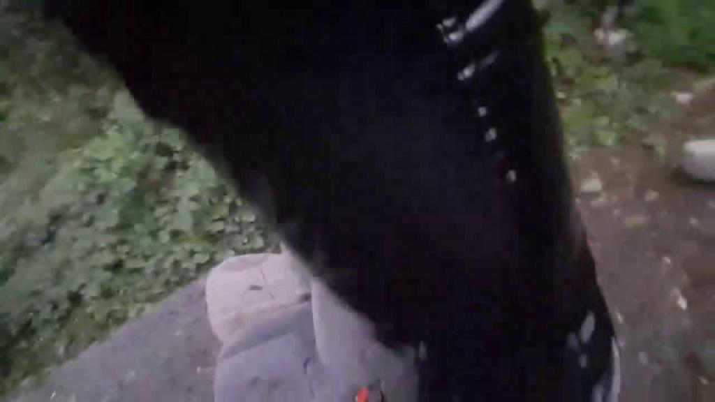 Exebod2 [2019-08-16 18:26:20]