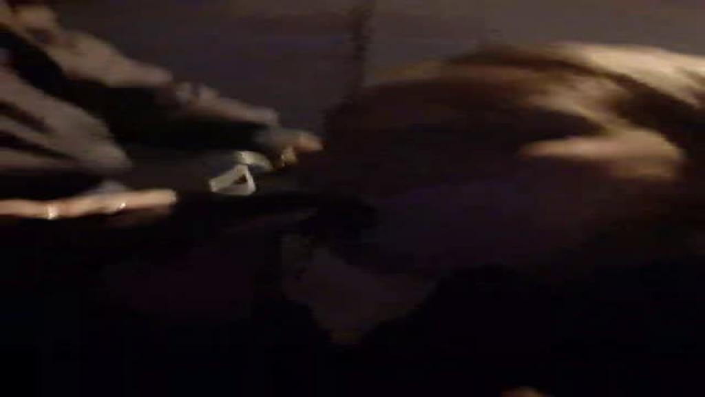 loirasexxxx [2019-08-03 22:50:28]