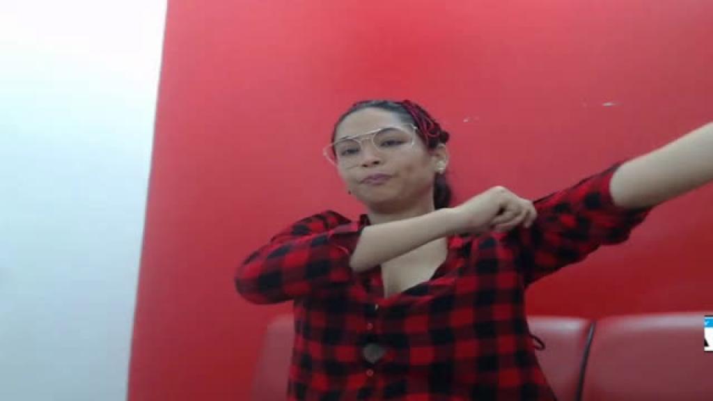 nicolmodel