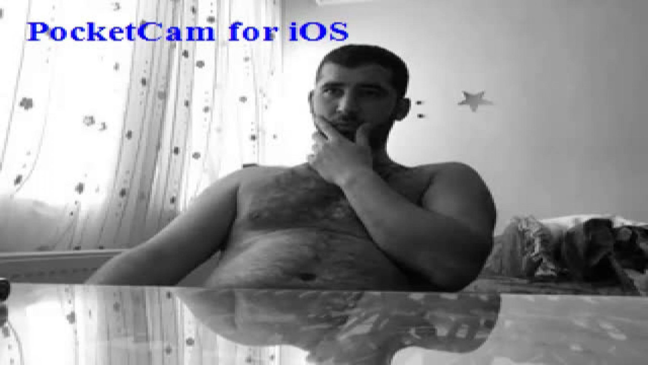 wildwolf16