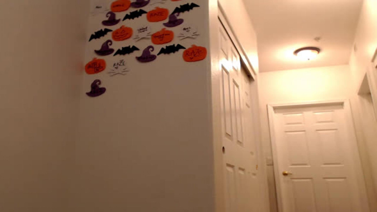 alexabearxo MyFreeCams [2017-10-31 00:41:53]