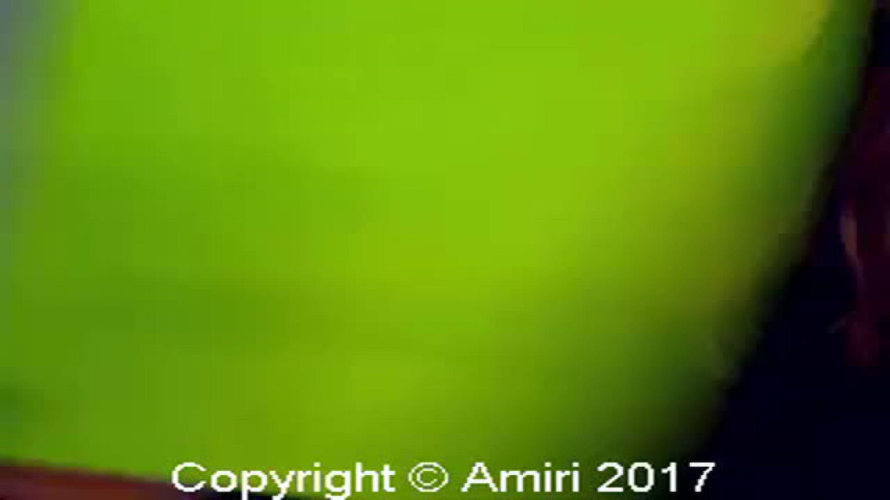 Amiri [2017-09-23 05:45:41]