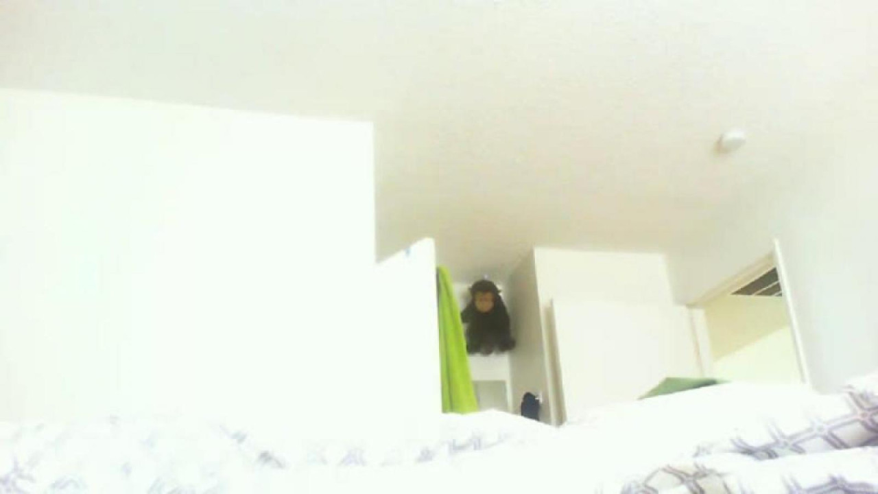 xjustnsteffx [2017/06/27 20:12:23]