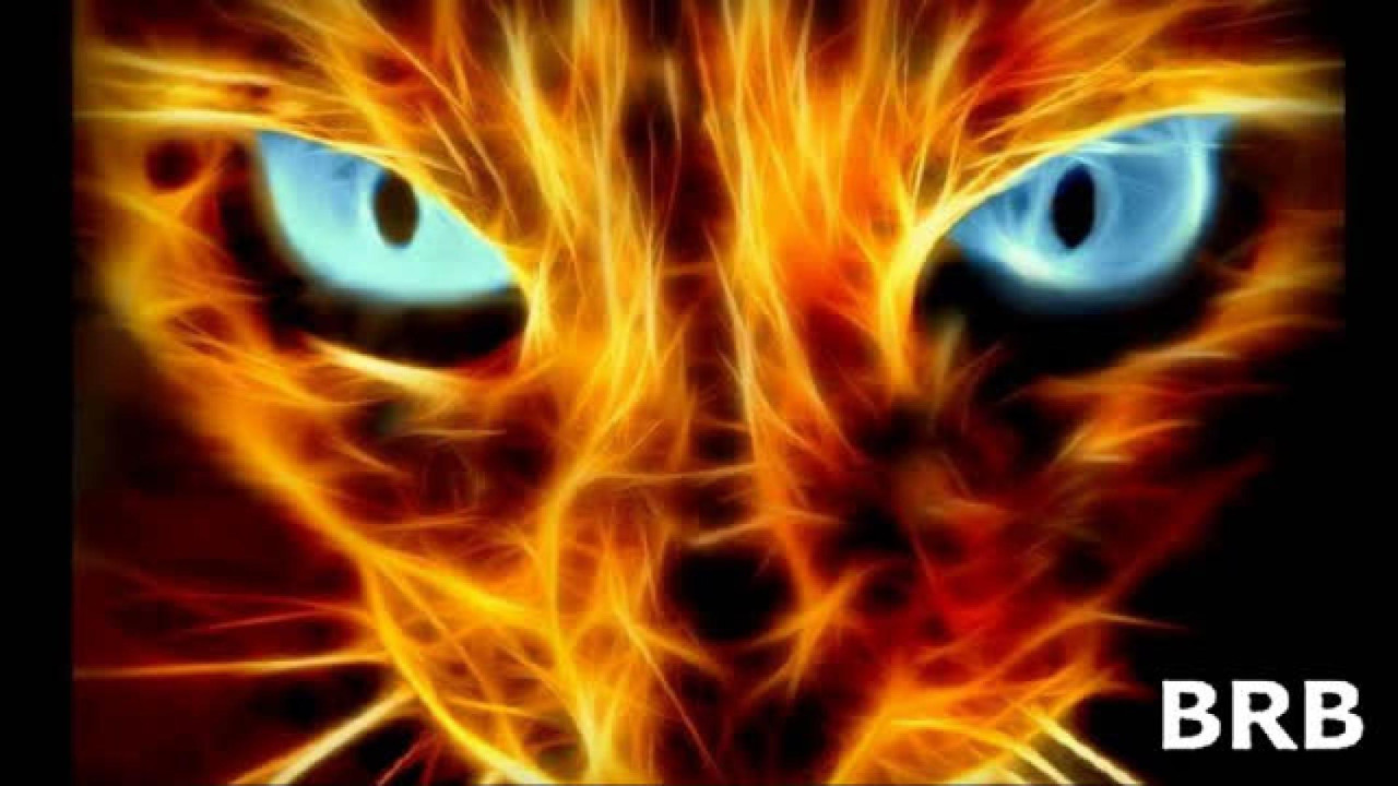 charleigh_ [2017-11-23 02:10:14]