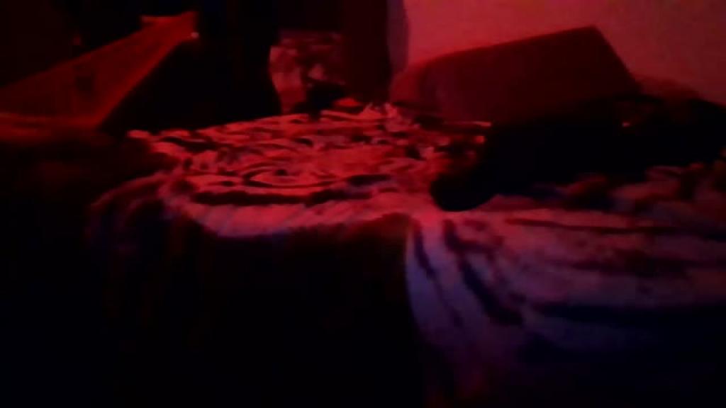 paky_2468
