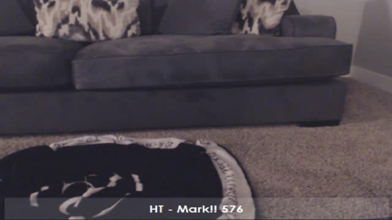 Scarlett_Vera MyFreeCams [2017-10-20 07:00:41]