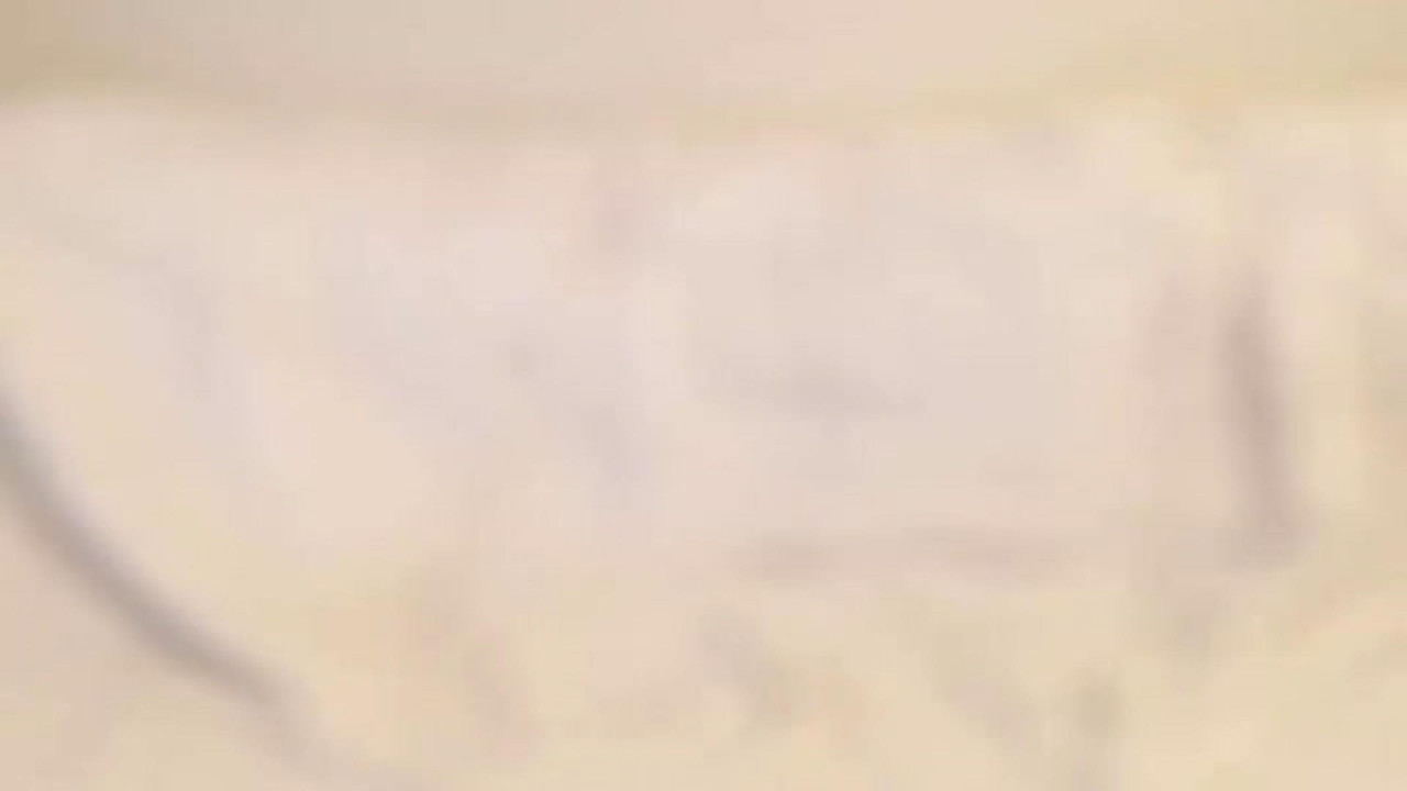 anibutler [2017-09-05 14:35:43]