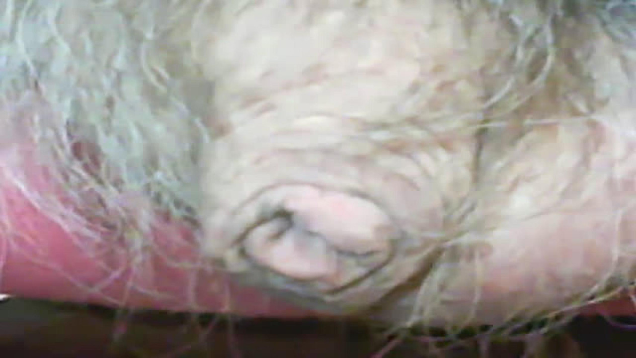 faards [2018-03-25 22:34:56]