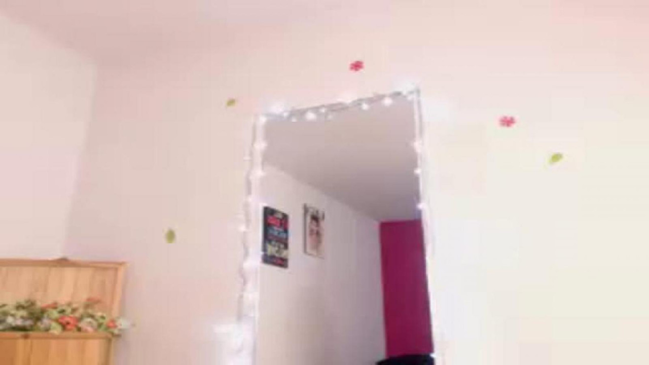 kattycat16 [2017/07/01 14:31:45]