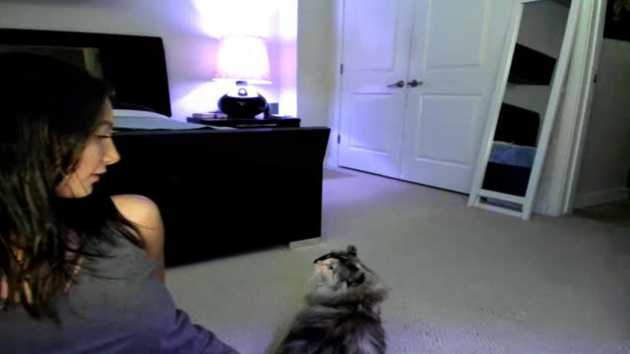 AliAutumn MyFreeCams [2017-10-13 20:16:06]