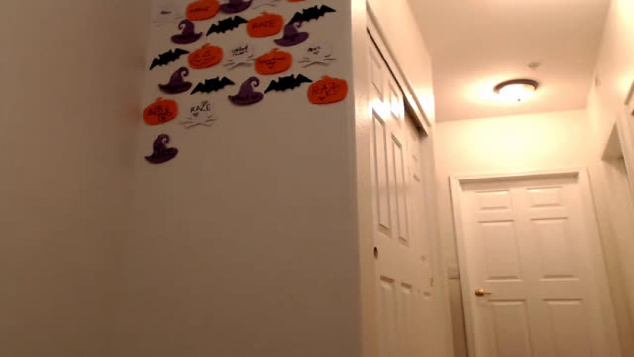 alexabearxo MyFreeCams [2017-10-31 00:41:52]