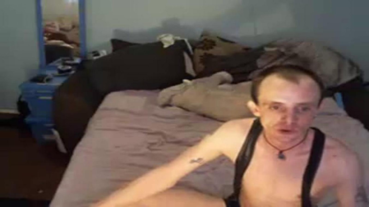 shanesexylaw