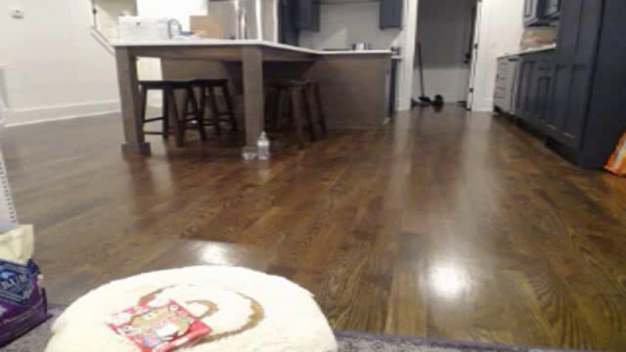 Scout [2017-09-15 07:11:00]