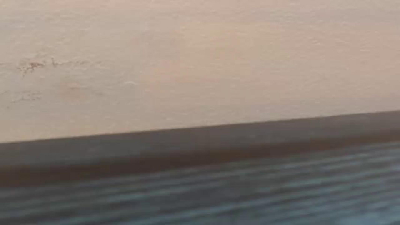 antohnia [2017-12-18 20:15:16]