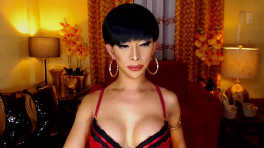 meatycocktransxx