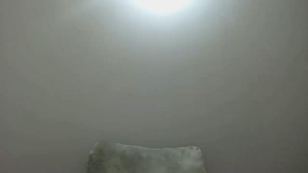 saraxcherry [2019-09-29 05:11:13]