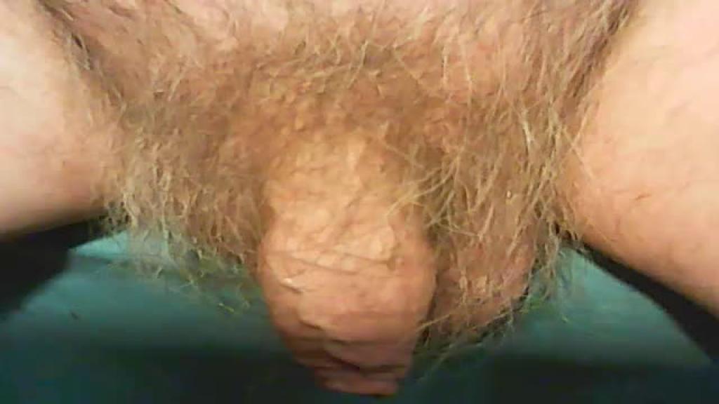 faards [2019-10-02 22:01:26]