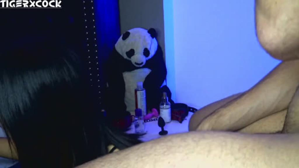 tigerxcock [2019-12-03 02:10:29]
