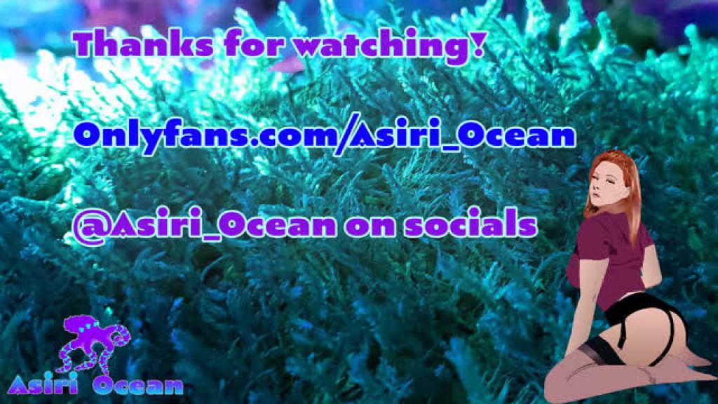 asiri_ocean [2020-03-08 01:20:13]