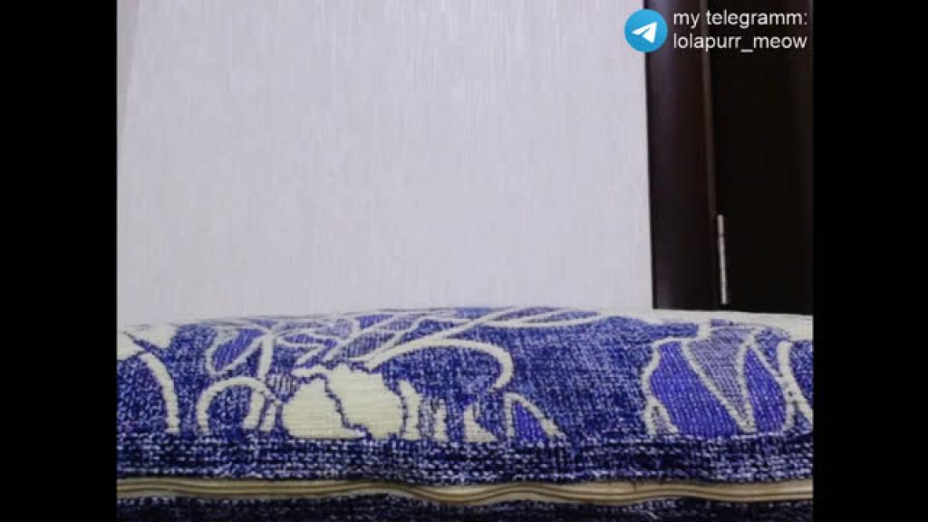 purr_meow [2019-10-02 15:10:29]