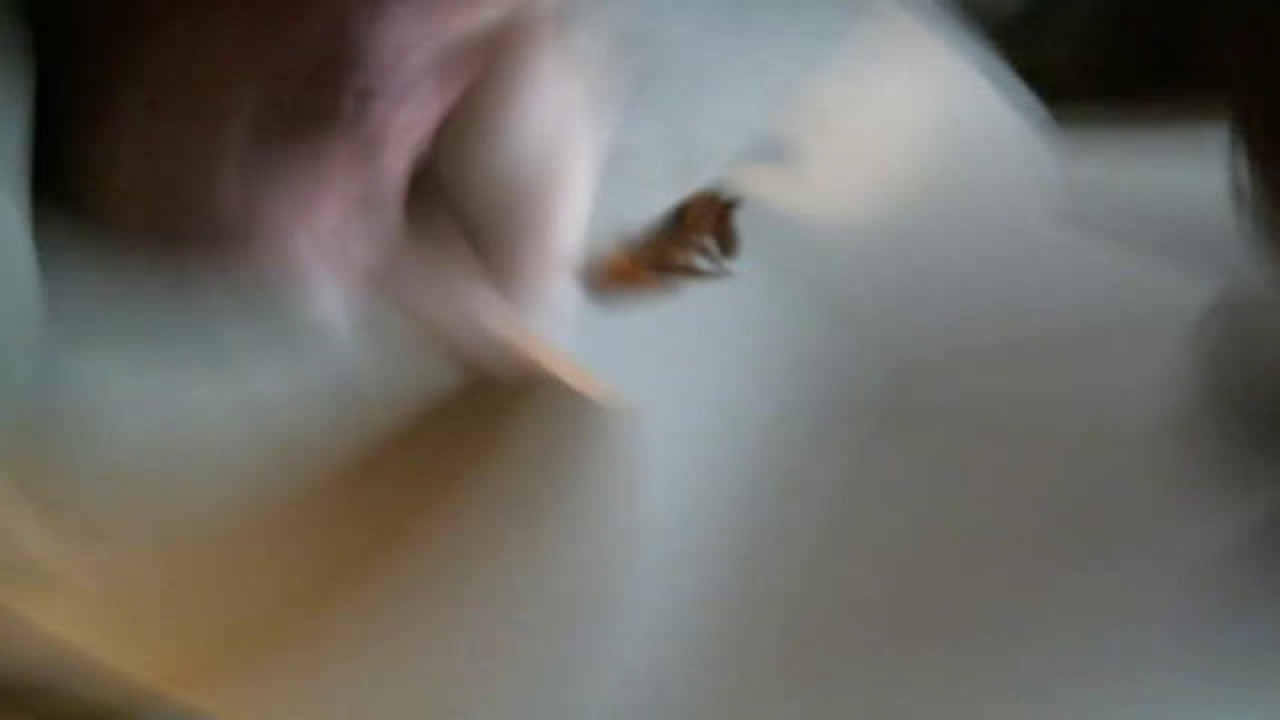 chickenwang2 [2017-11-17 03:50:27]