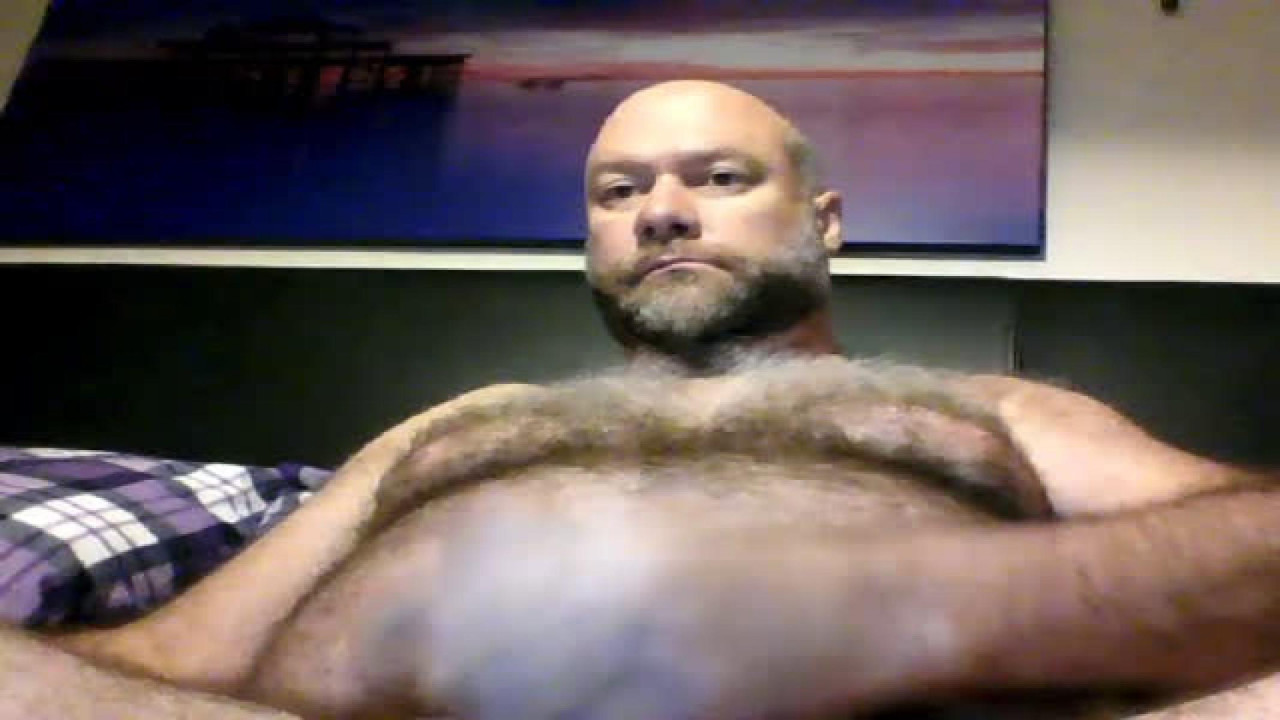 britbear1