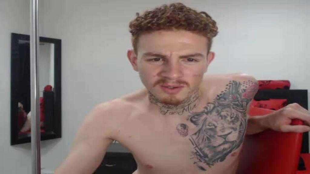 bigcock_d