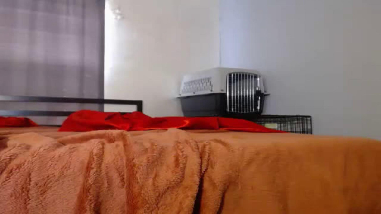 selinacumming95 [2017-09-20 17:55:27]