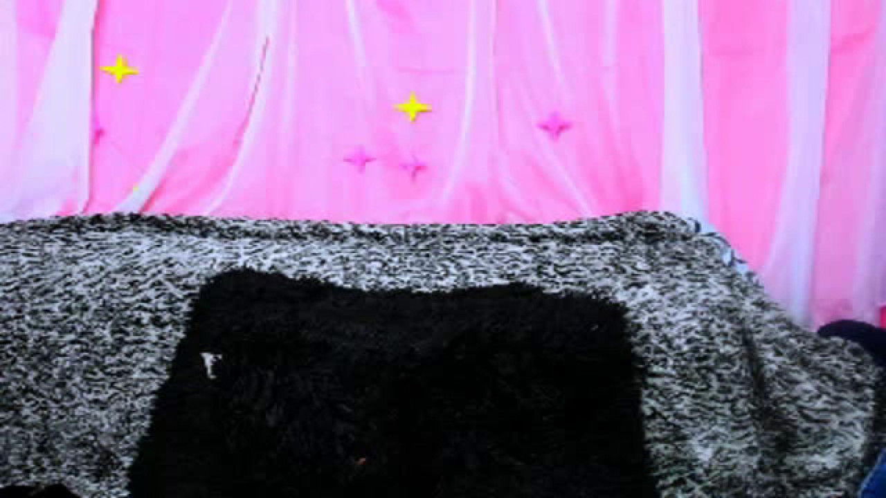fireee_kitty