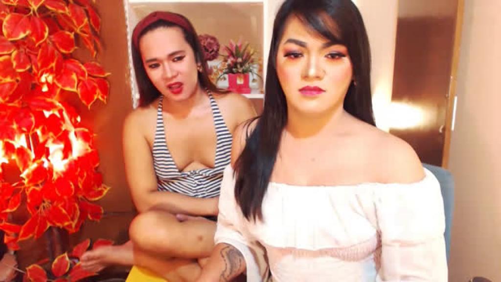 twowildtranss