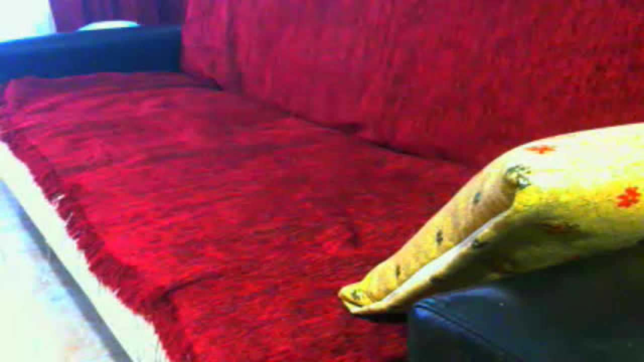 polen_07____ [2018-01-26 14:55:28]