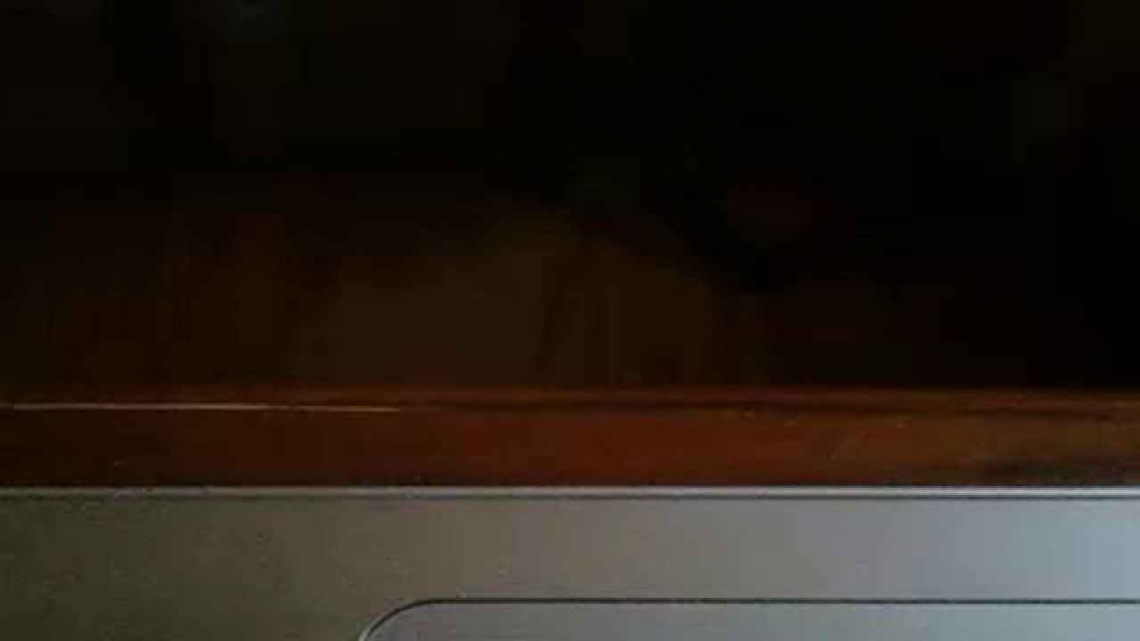 hisdoeherbuck [2017-11-25 15:25:30]