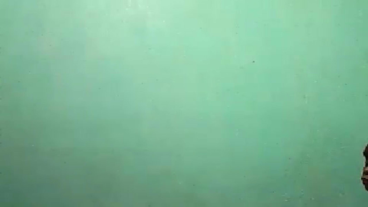 sexygrannyy [2017-11-21 16:25:28]