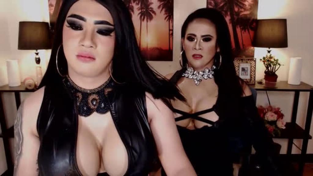 DbestPlaymateTS [2019-11-11 21:00:27]
