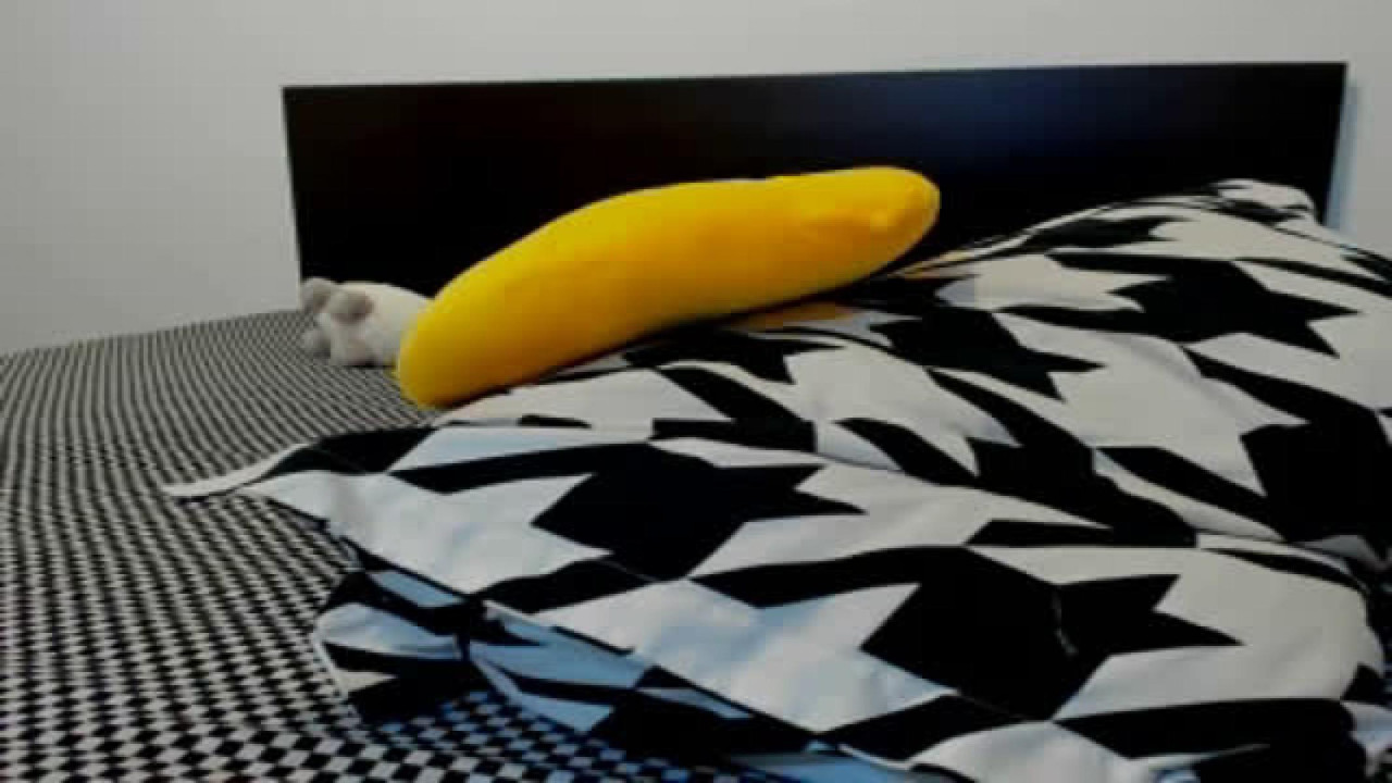 Minion_A MyFreeCams [2017-09-25 23:27:44]