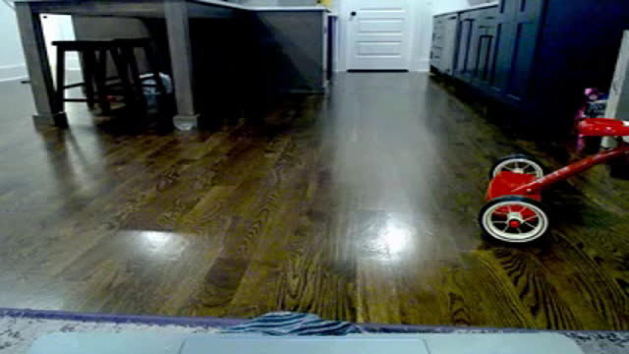 Scout [2017-11-01 12:35:37]
