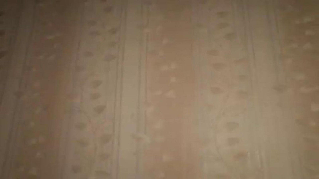 sweettpussysex [2017/05/17 20:00:21]