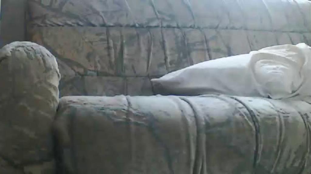kittyplaytime [2019-09-29 23:10:14]