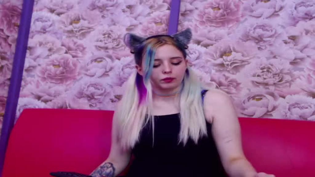 kattkissi