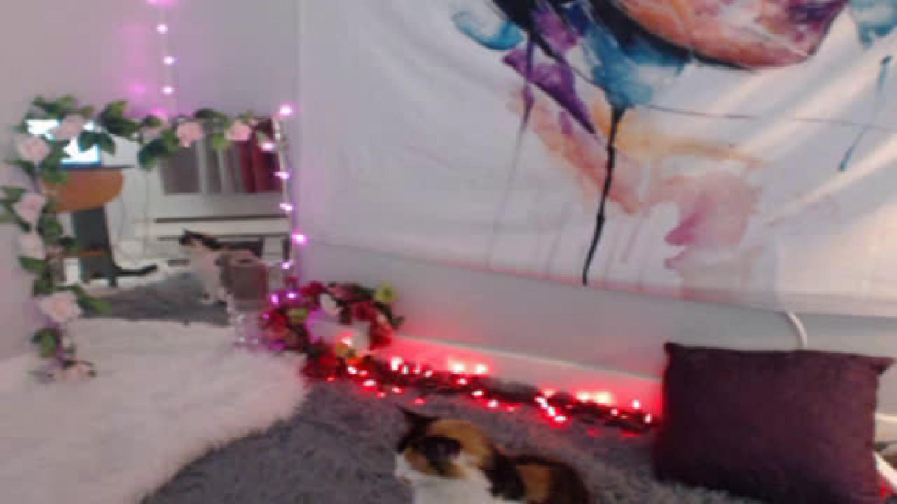 MissMarley_ [2018-04-29 01:33:55]
