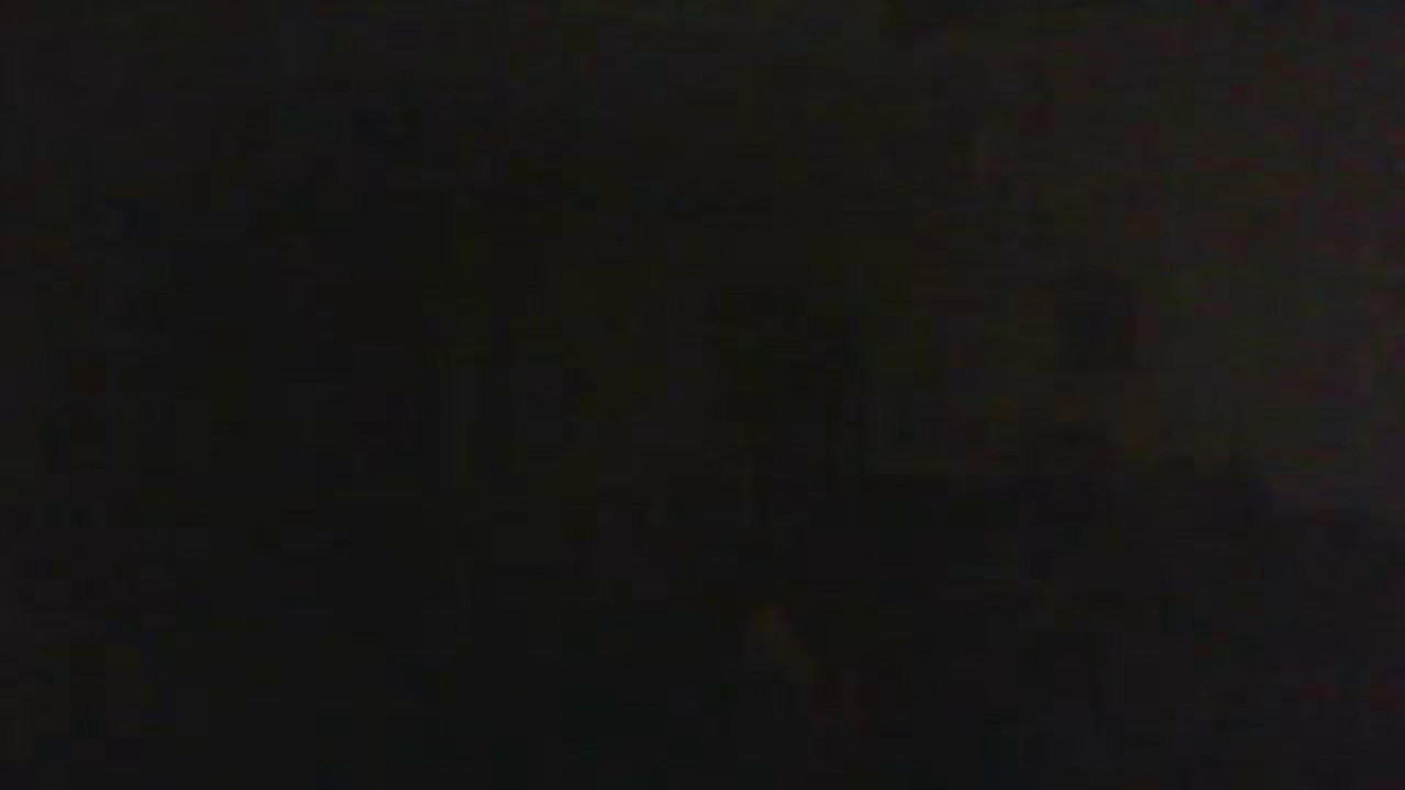 tonyalive